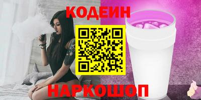 гашик Кингисепп