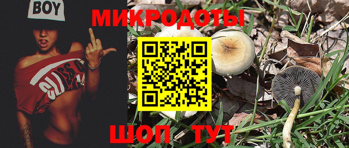 Крымск  Псилоцибиновые грибы Cubensis  Вход с VPN 