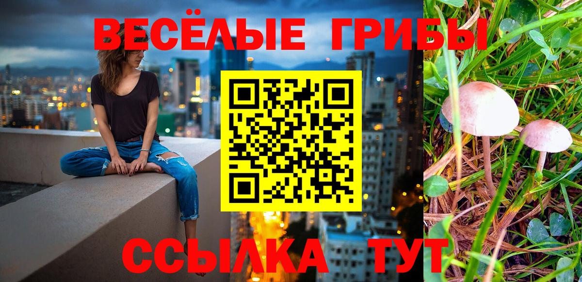 Галлюциногенные грибы GOLDEN TEACHER Крымск